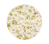 Látex Talalay